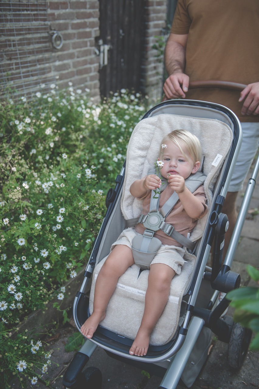 Buggy Inlegkussen Dijon Daily sand