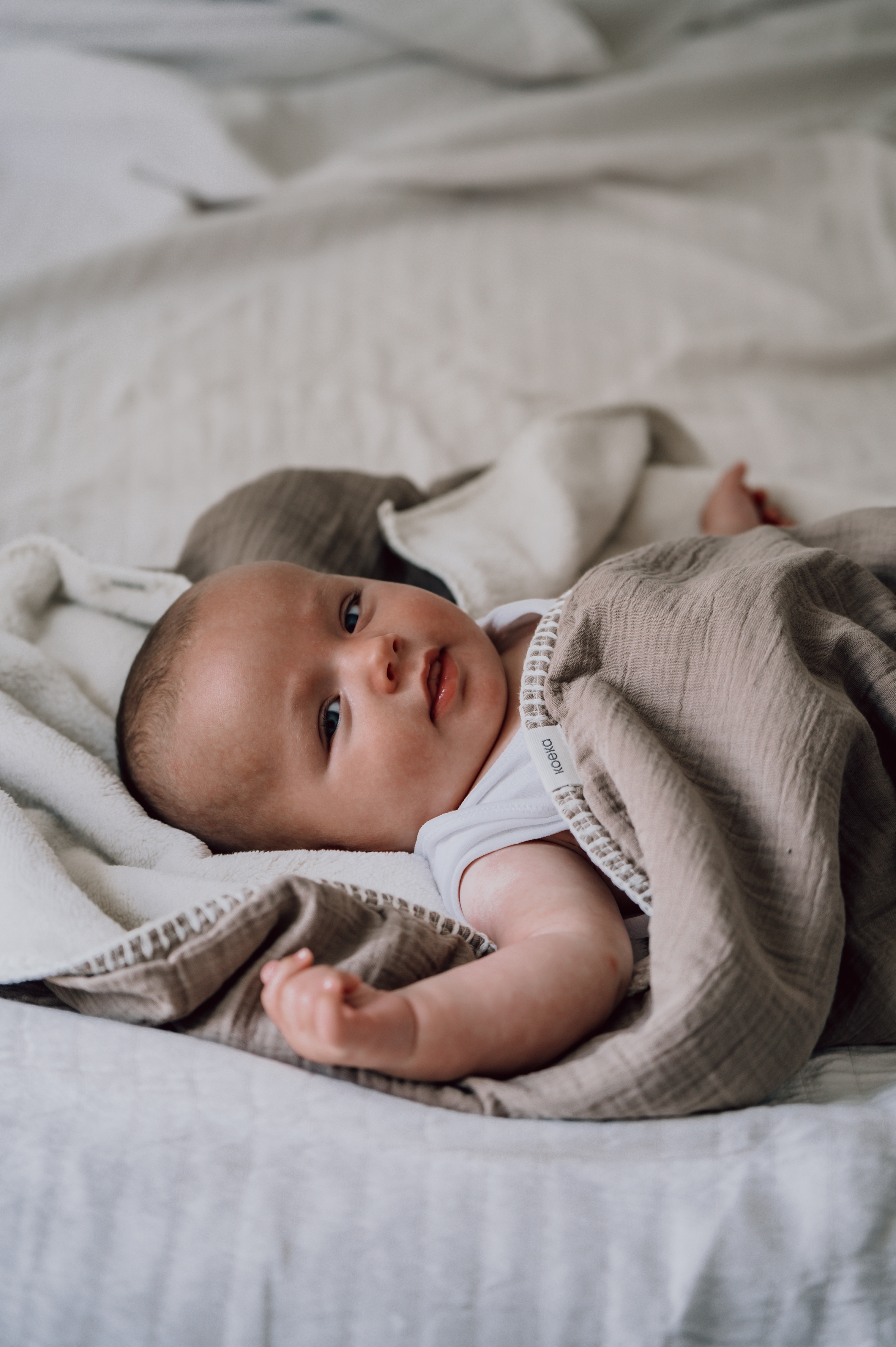 Bassinet blanket teddy Faro caffe