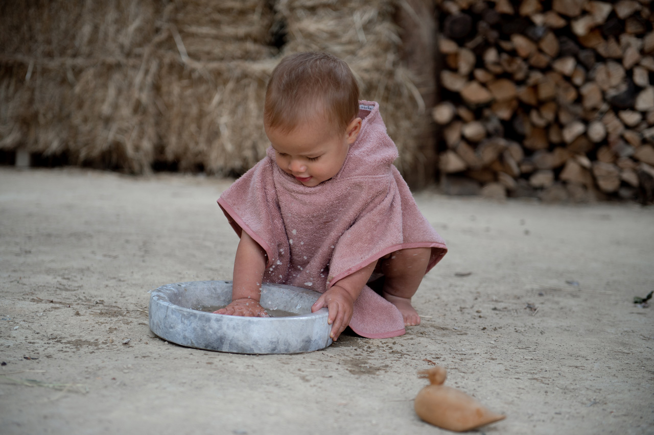 Badponcho Dijon Daily earth rose