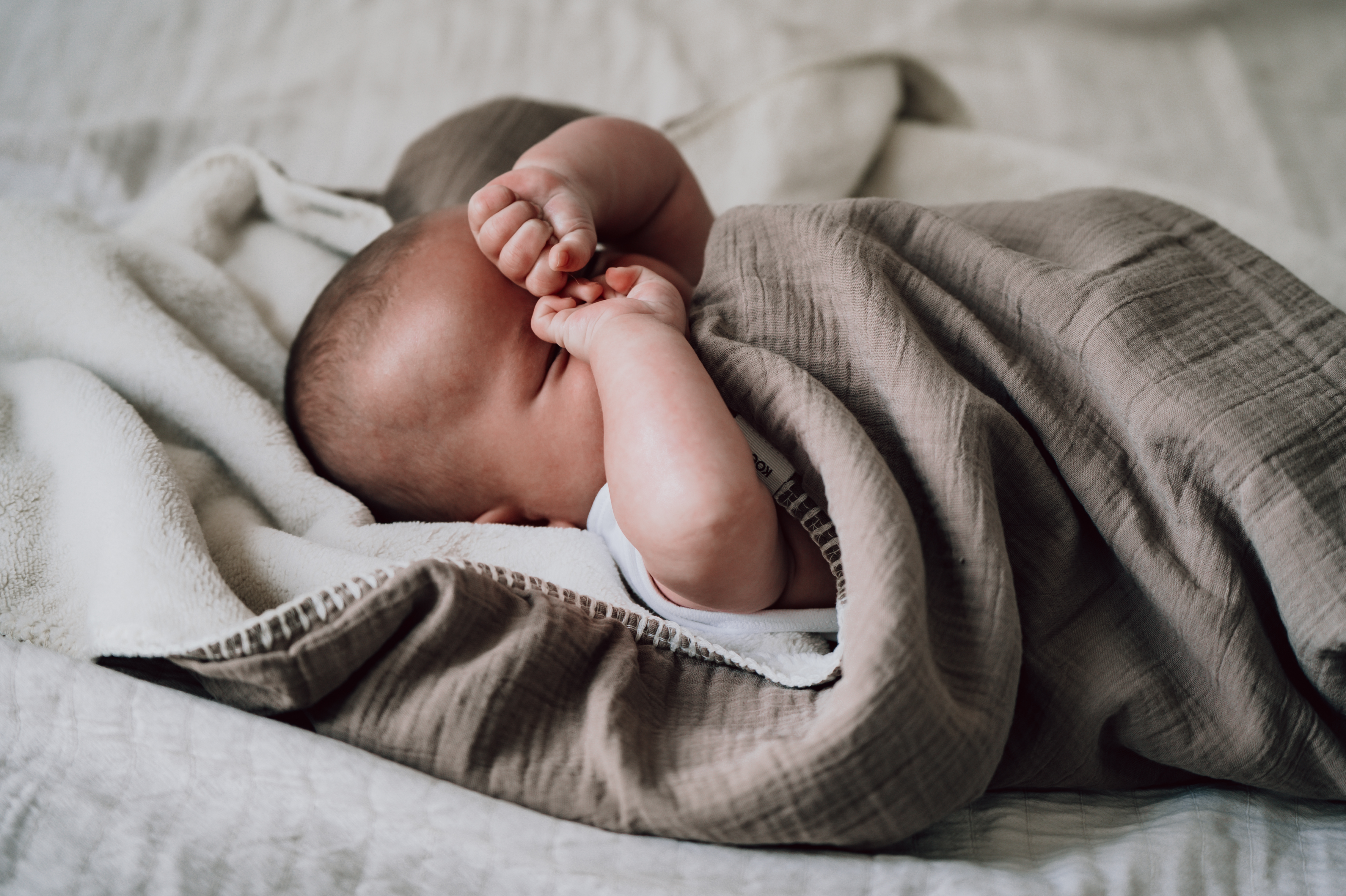 Wiegdeken Teddy Faro caffe