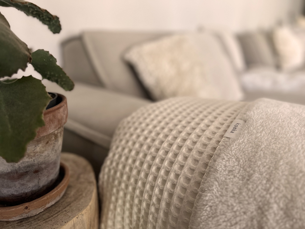 Single bed blanket teddy Oslo natural/pebble