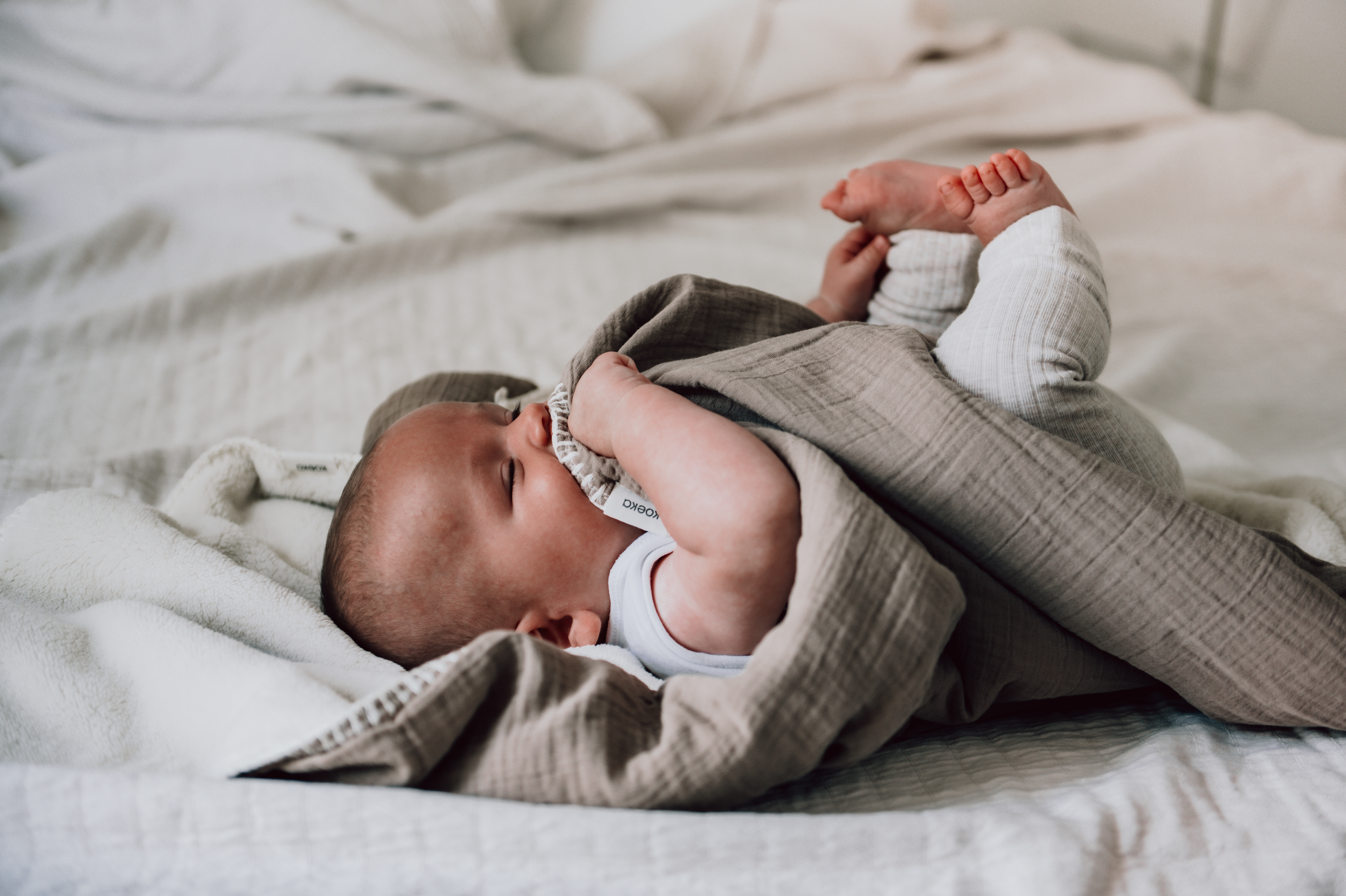 Ledikantdeken Teddy Faro caffe